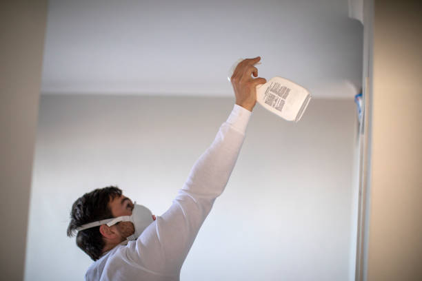 Best Attic Mold Remediation in Mcdade, TX